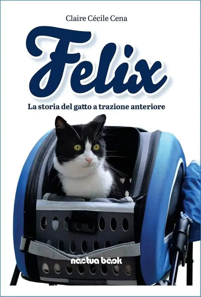 Felix, la storia del gatto a trazione anteriore